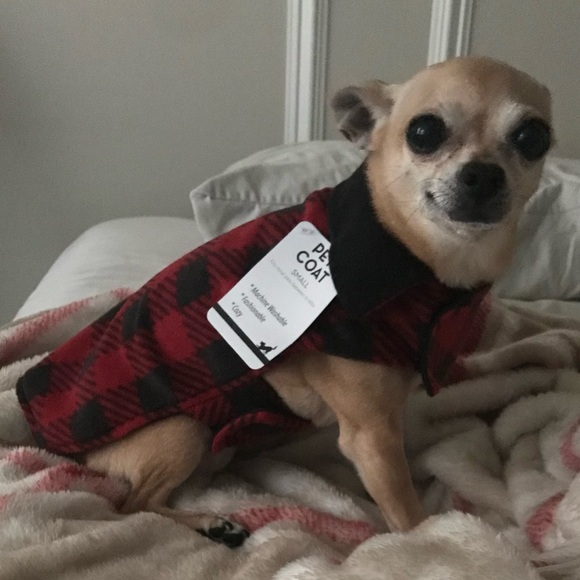 🎉Host Pick🎉 Red & Black Pet Jacket Sz S - Picture 4 of 4